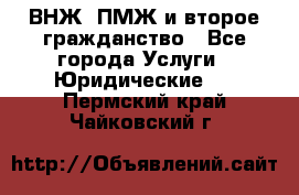 ВНЖ, ПМЖ и второе гражданство - Все города Услуги » Юридические   . Пермский край,Чайковский г.